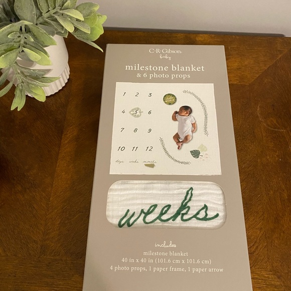 C.R Gibbons milestone blanket &6 photo props 40x40 - Picture 7 of 10